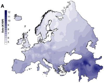 Where are the "Paleolithic Europeans"?