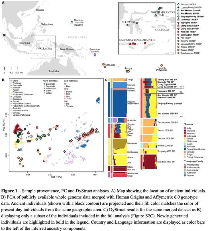 The of Southeast Asia gets more complex… Gene Expression